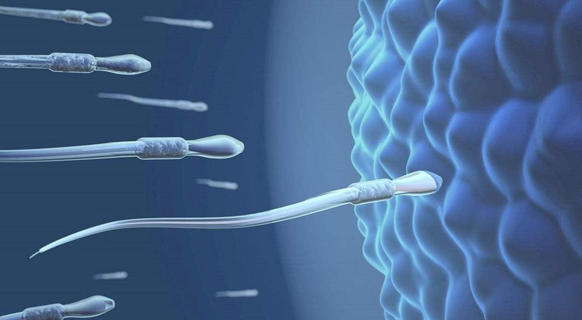 怀孕最早多久能查出男女孩？孕期查性别注意什么？