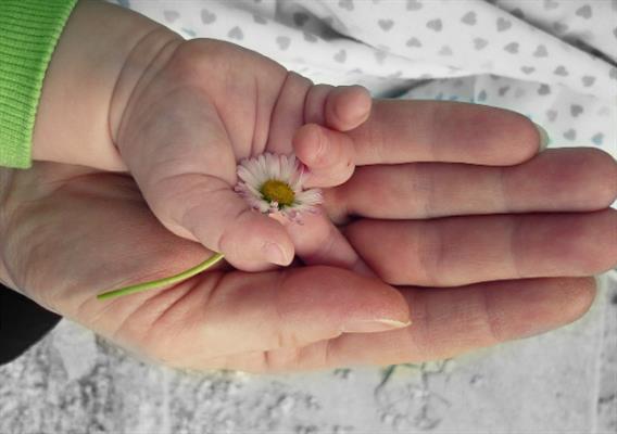 二胎想要个儿子怎么科学备孕好？怎样提高生男孩的几率？